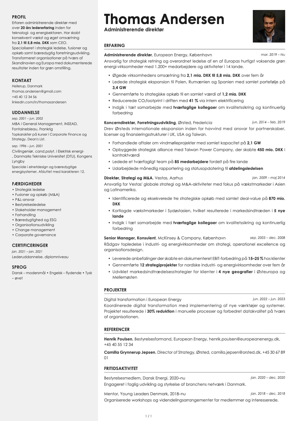 Administrerende direktør resume example