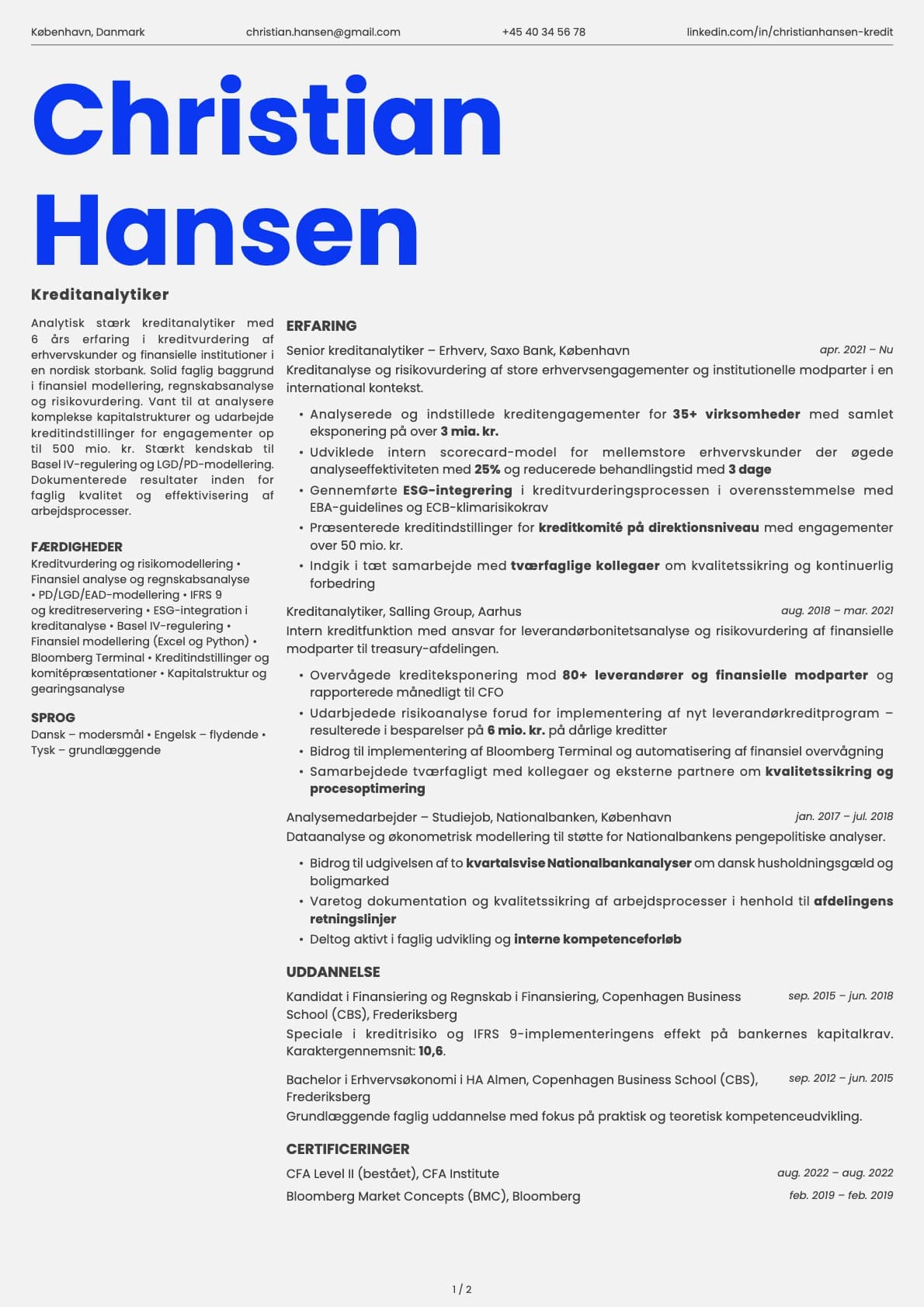 Kreditanalytiker resume example