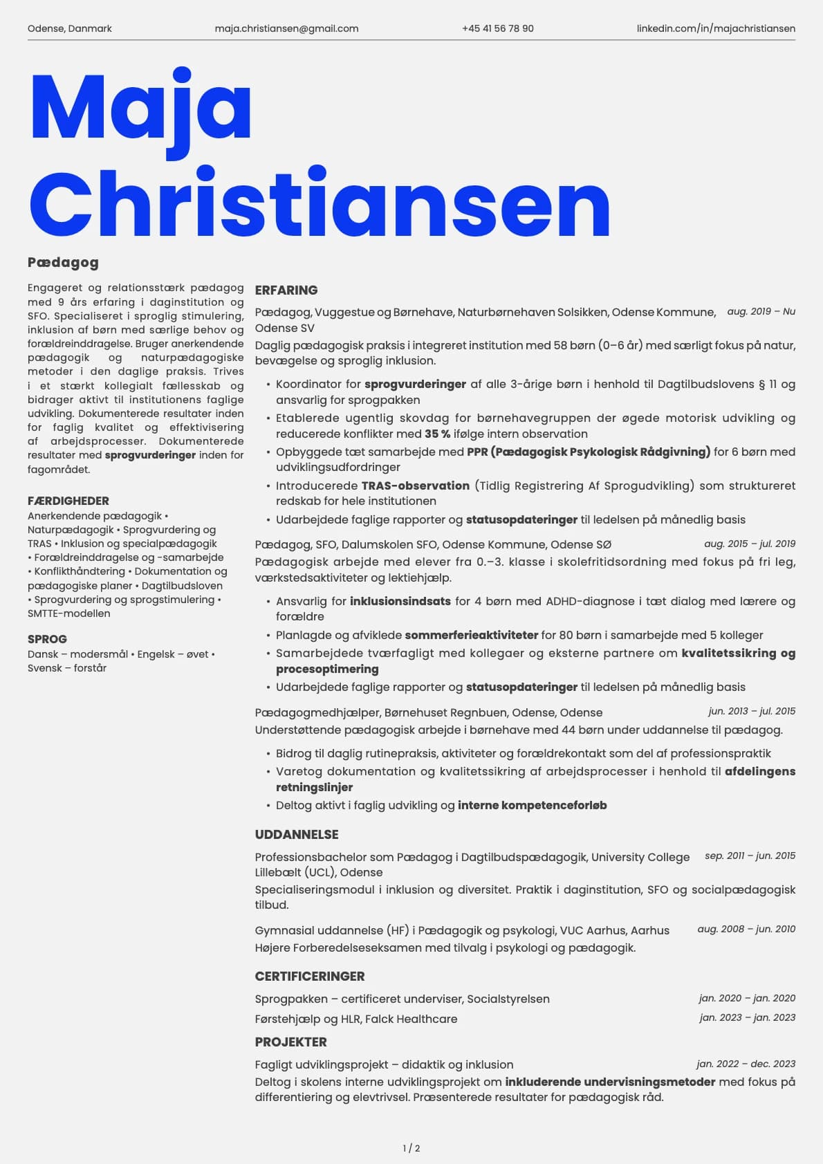 Pædagog resume example