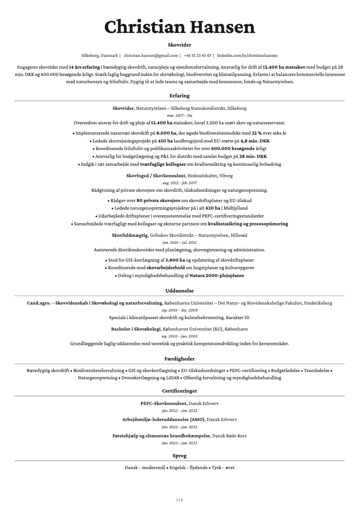 Skovrider resume example