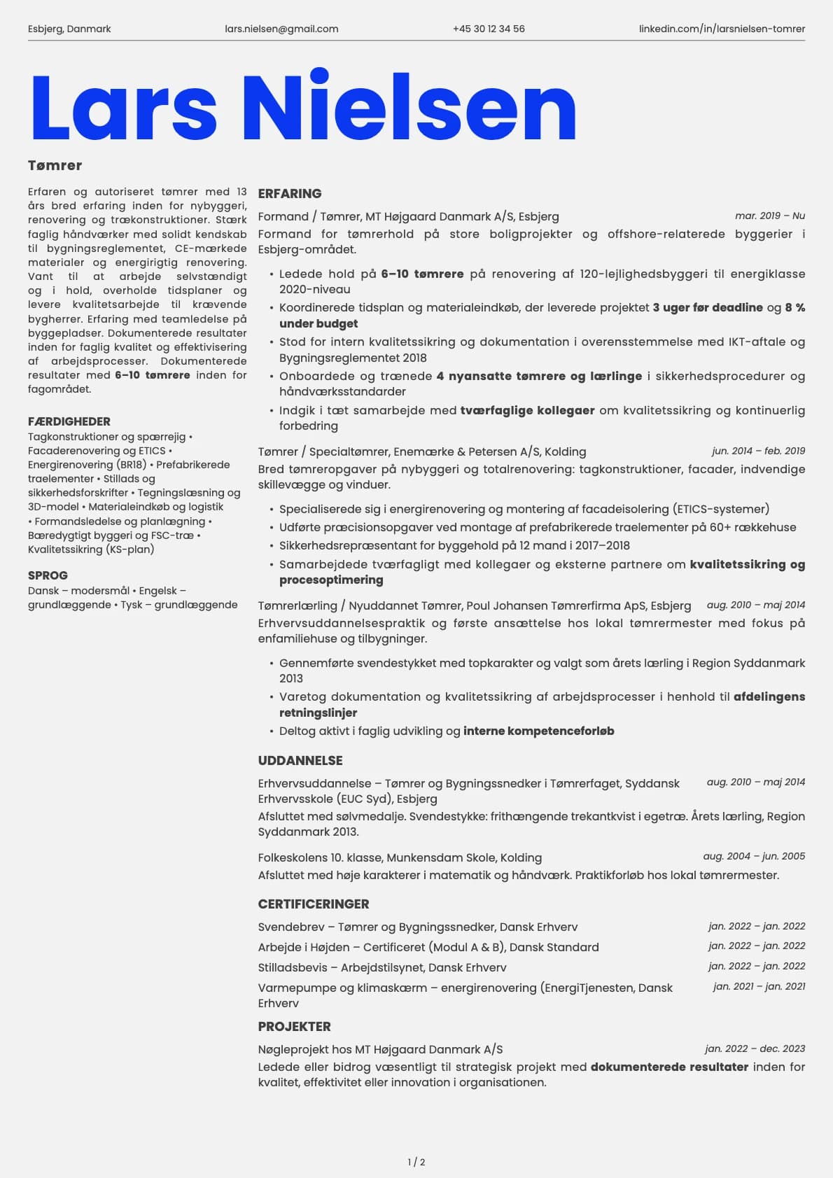 Tømrer resume example