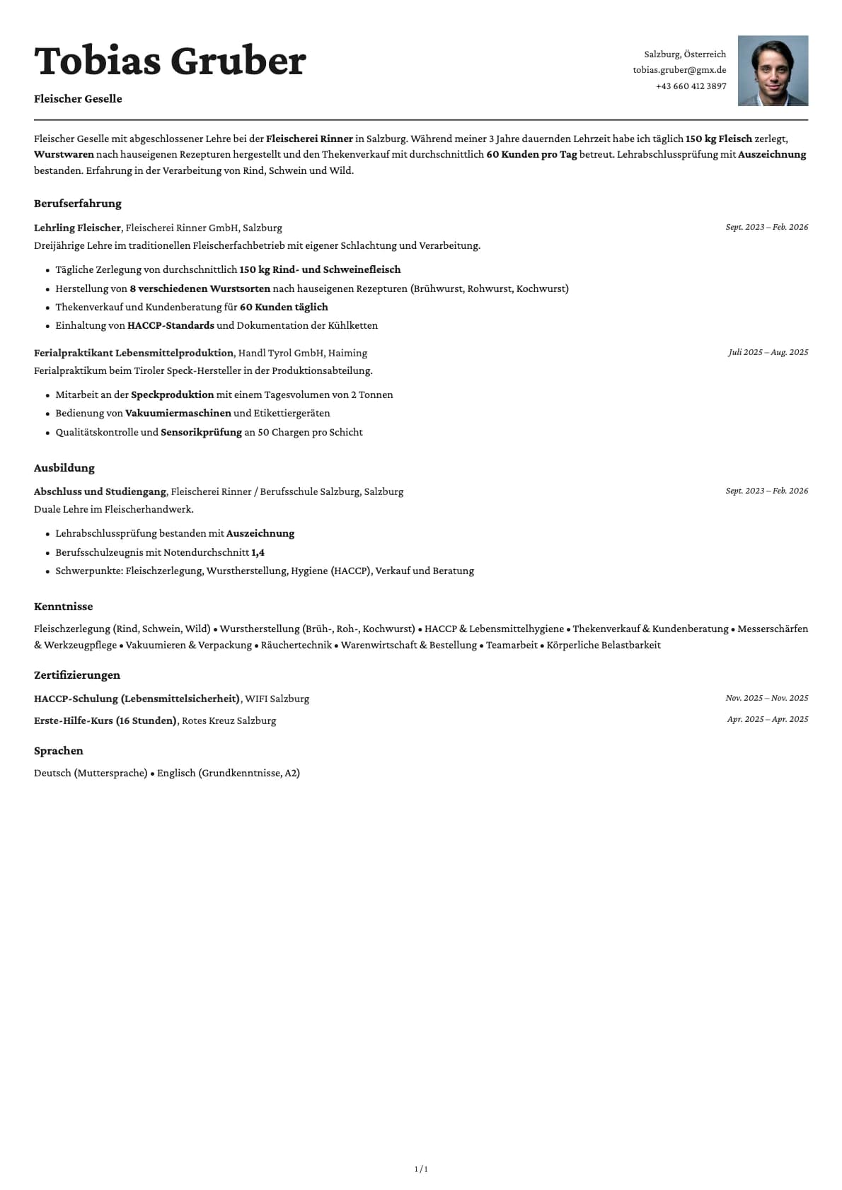 Fleischer Geselle resume example