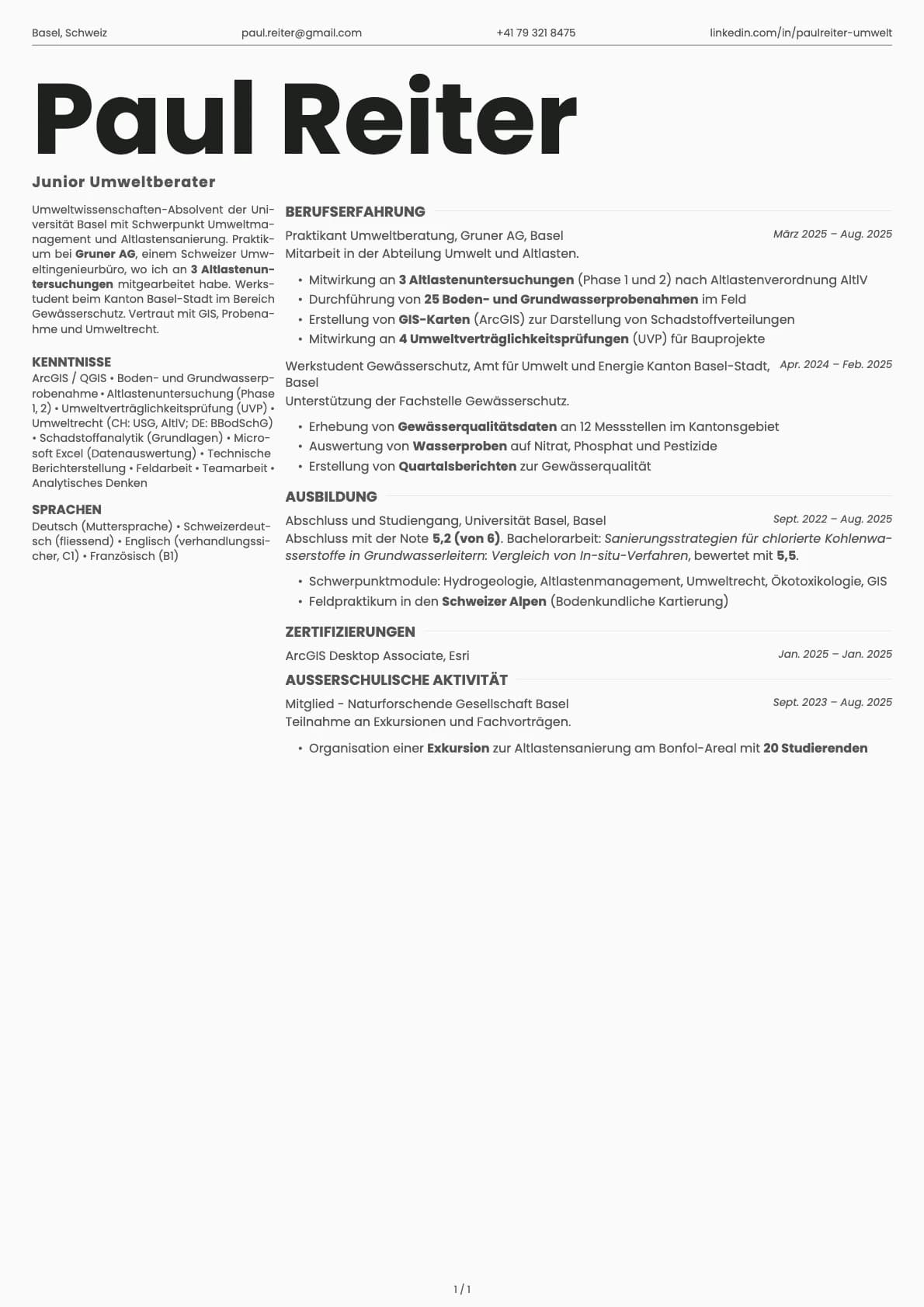 Junior Umweltberater resume example