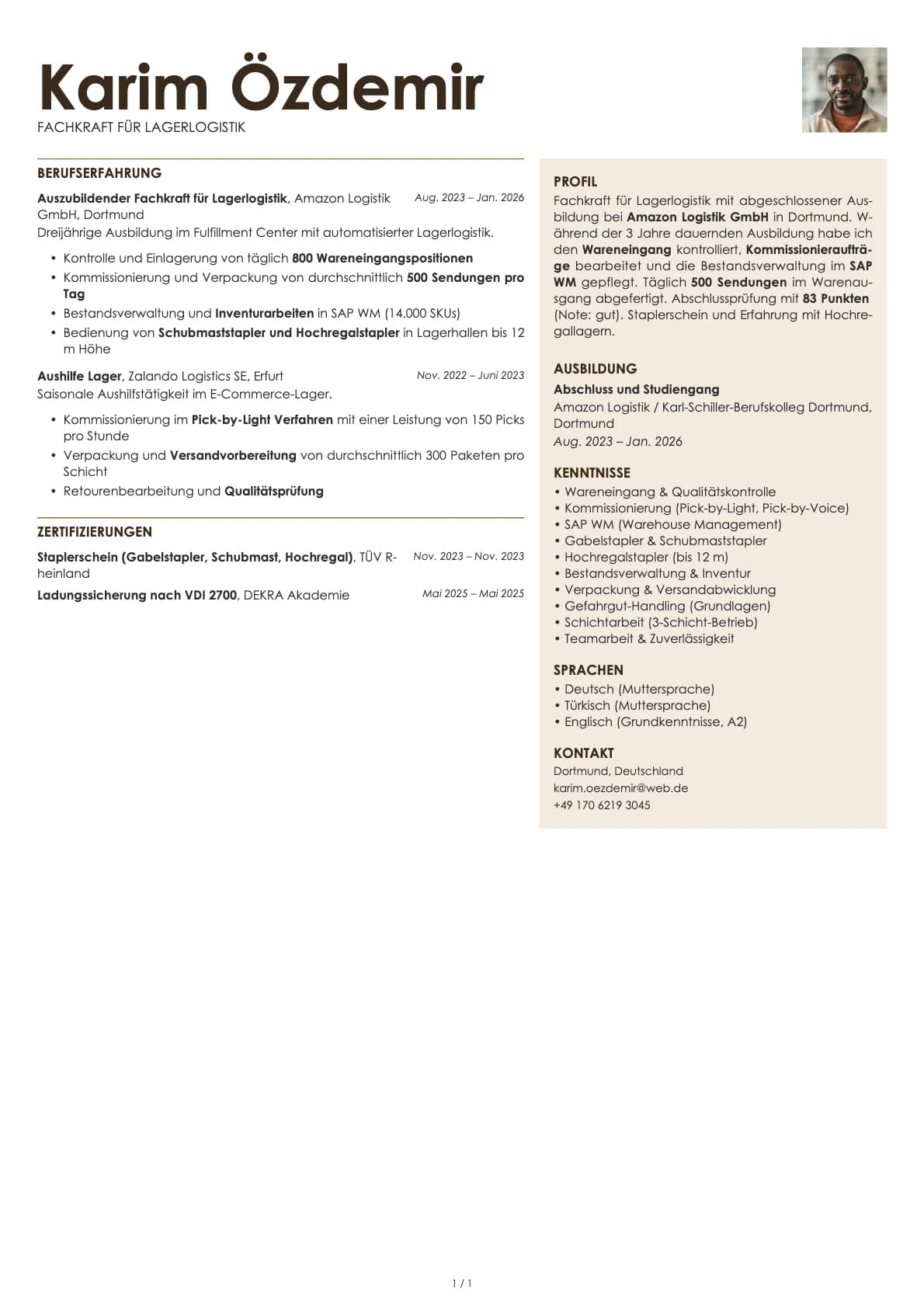 Lagerlogistiker resume example