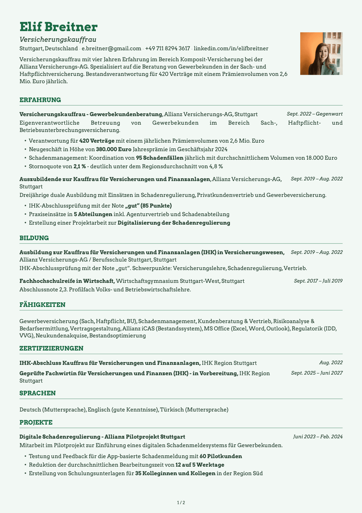 Versicherungskaufmann resume example