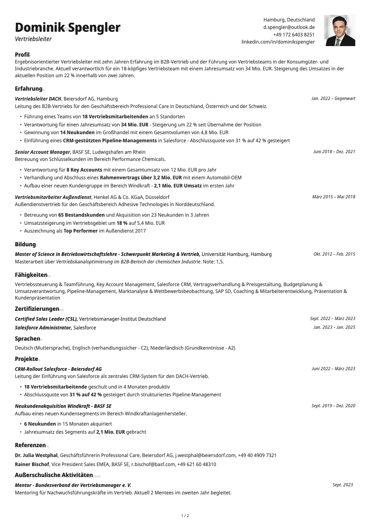 Vertriebsleiter resume example