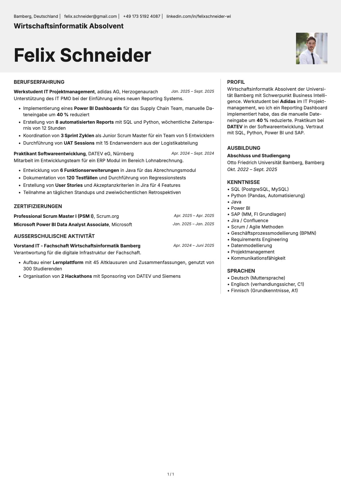 Wirtschaftsinformatik Absolvent resume example