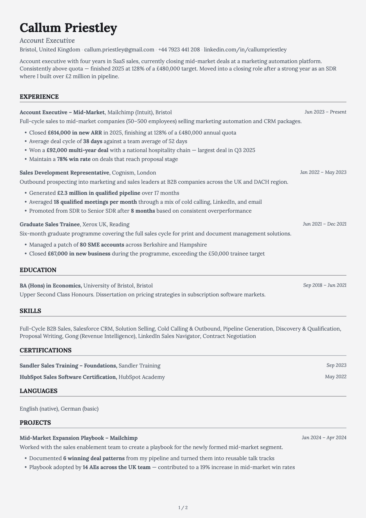 Account Executive resume example