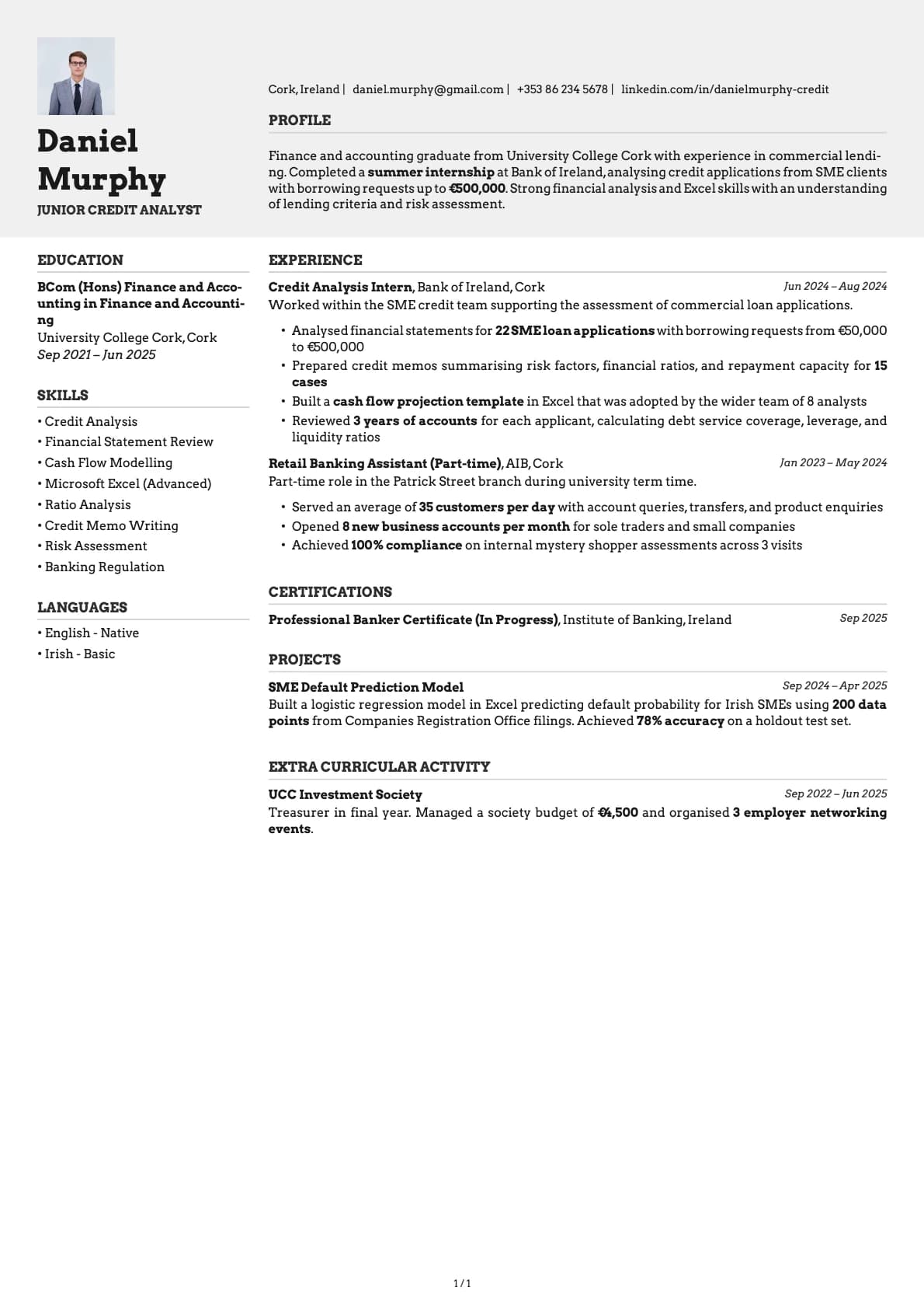 Junior Credit Analyst resume example