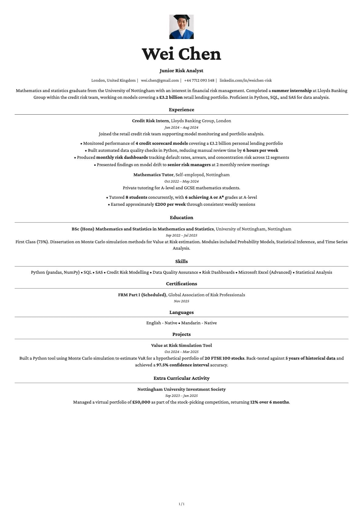 Junior Risk Analyst resume example