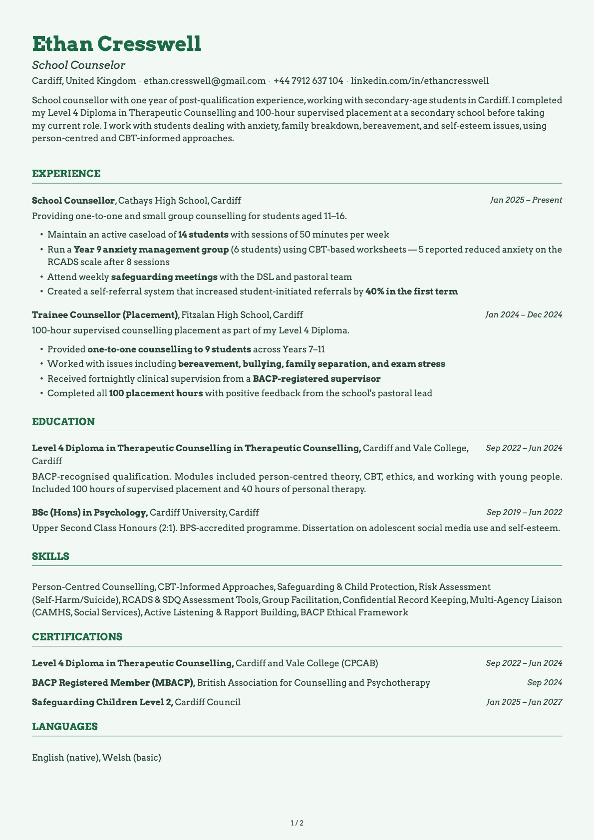 School Counselor resume example