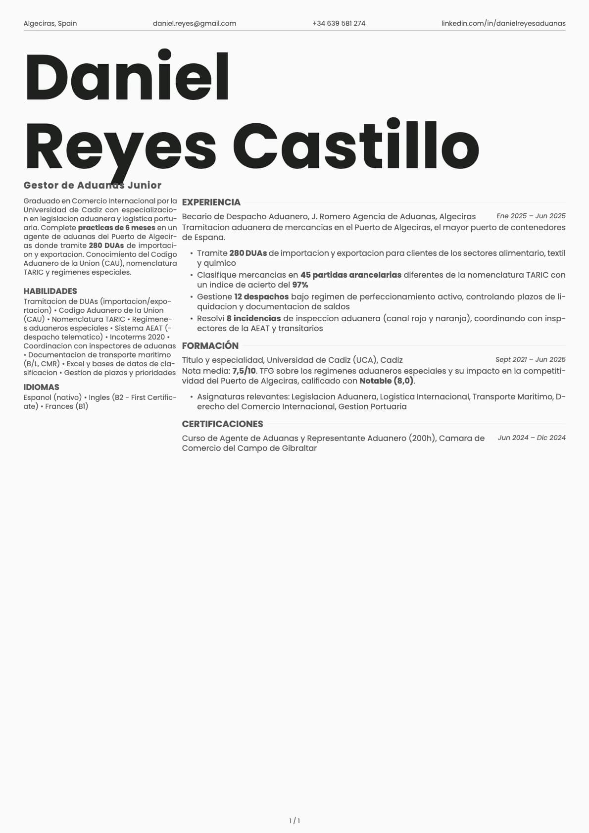 Gestor de Aduanas Junior resume example