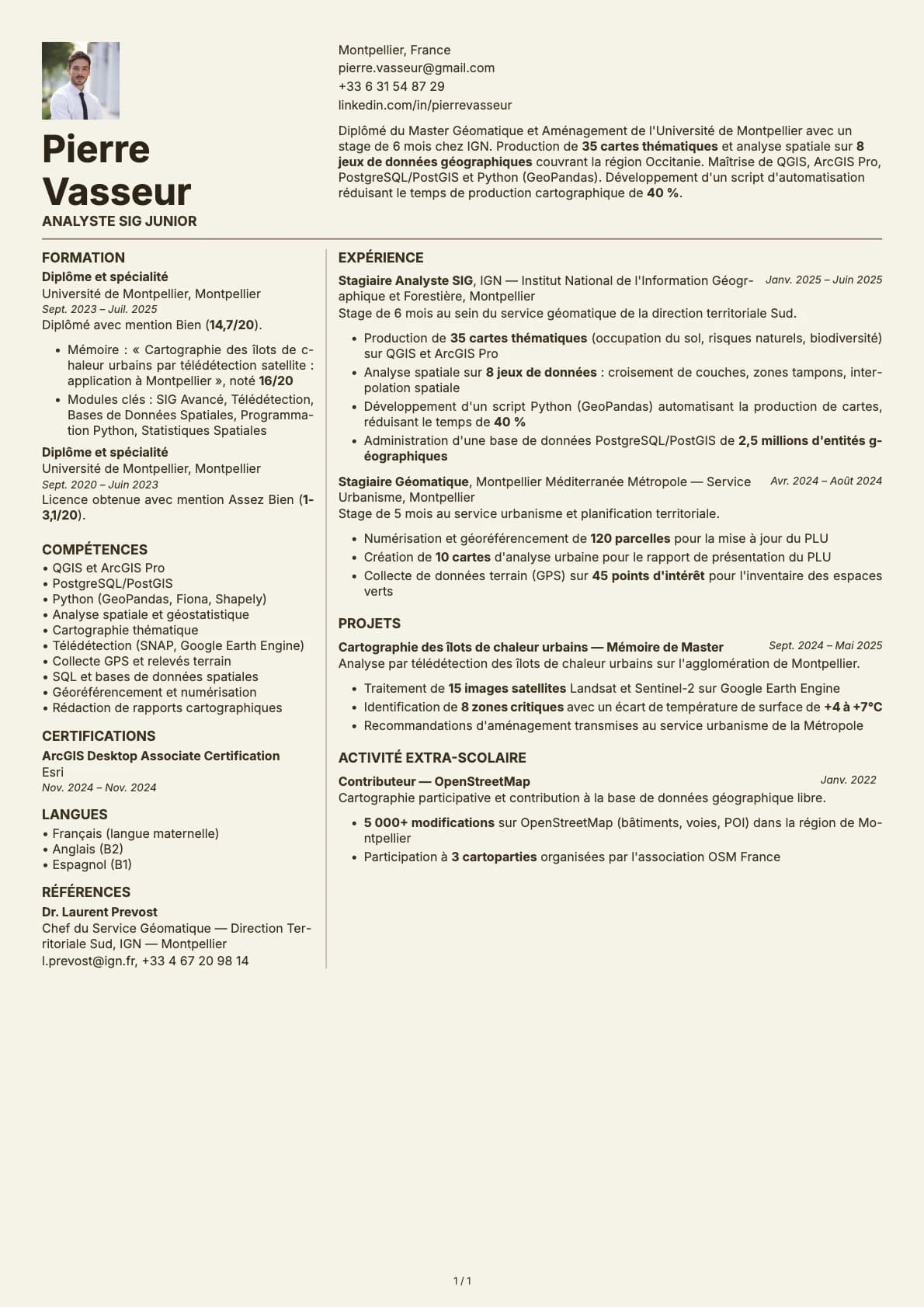 Analyste SIG Junior resume example