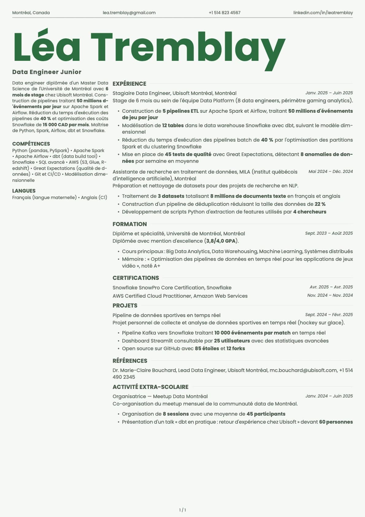 Data Engineer Junior resume example