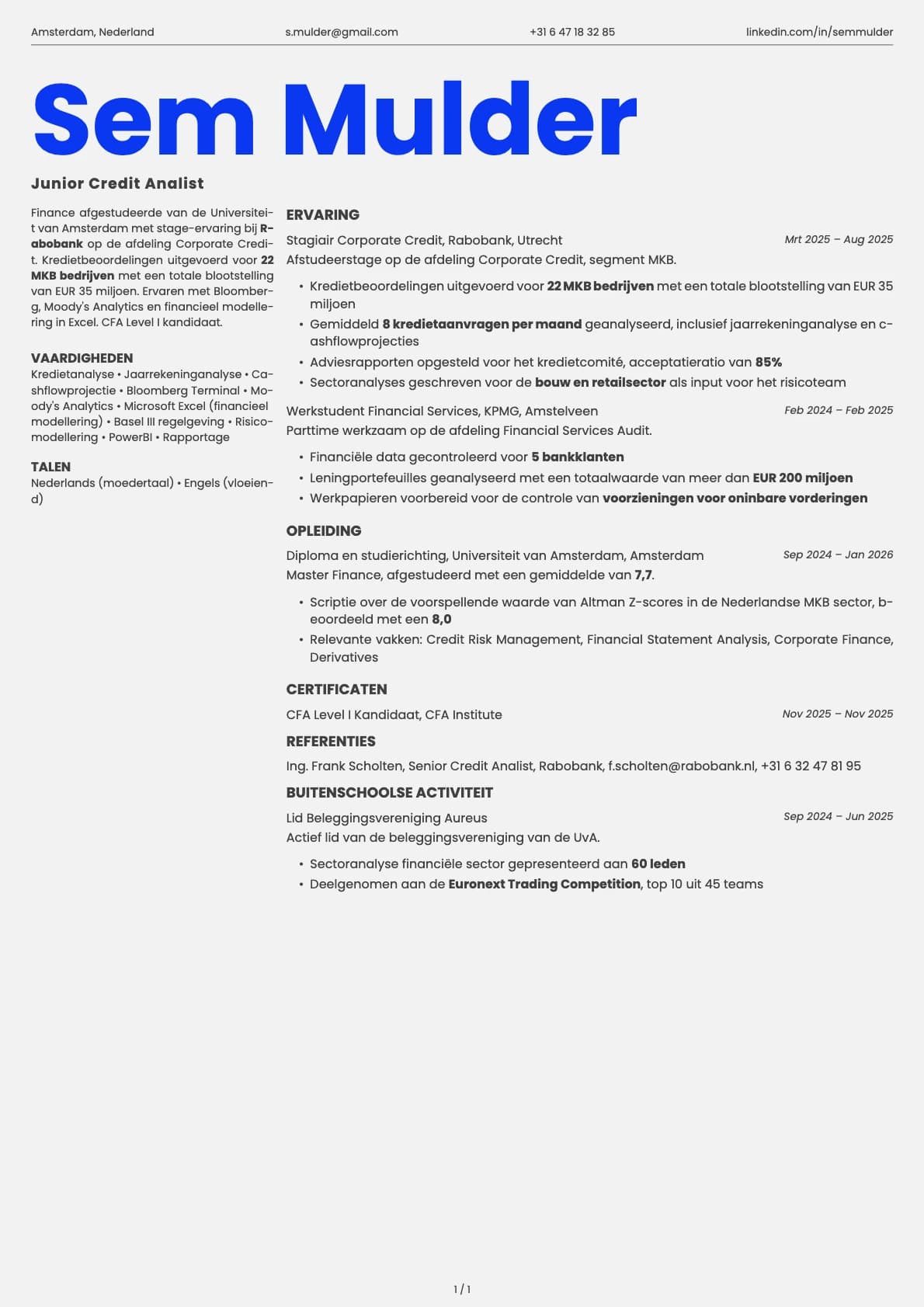Junior Credit Analist resume example