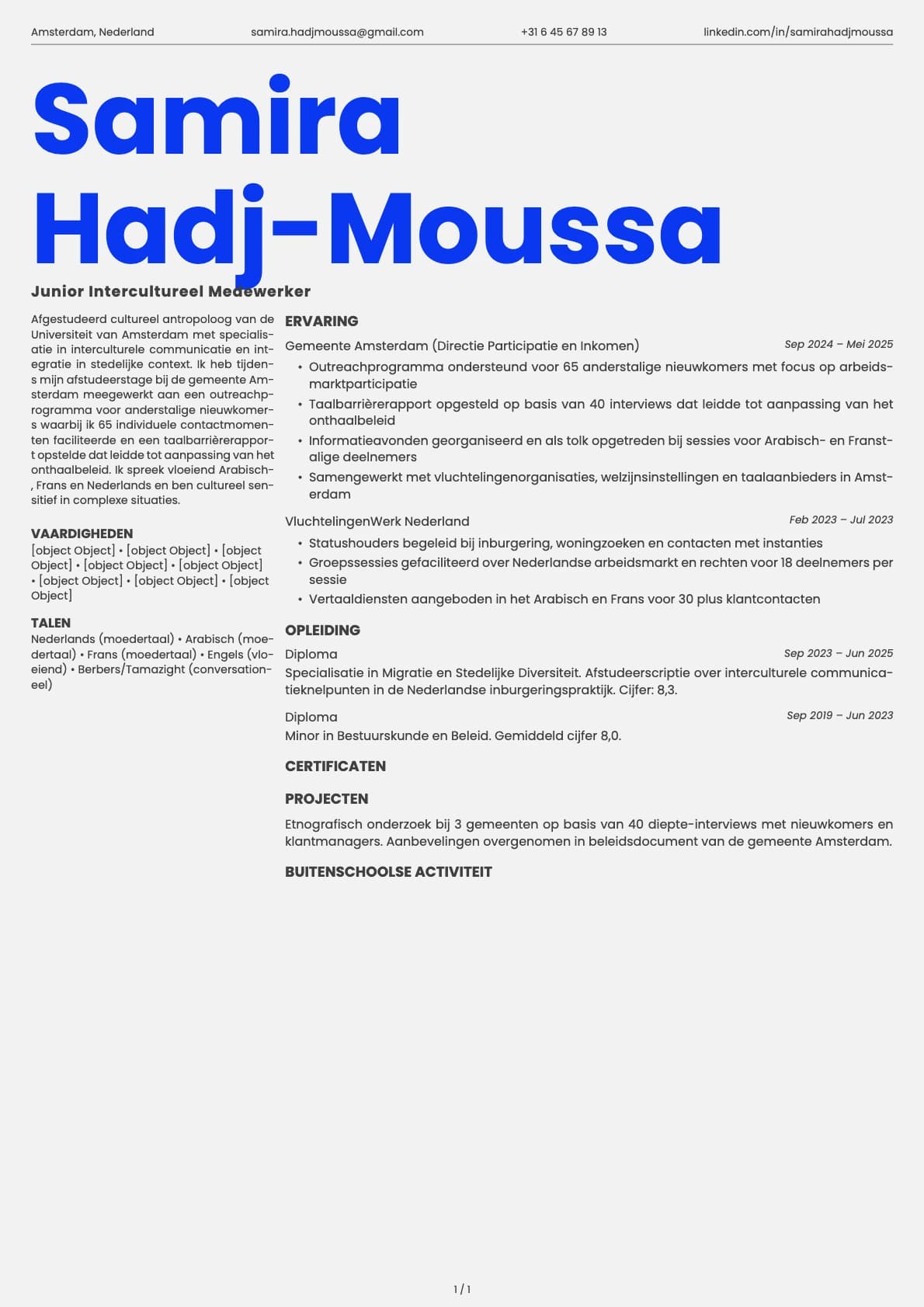 Junior Intercultureel Medewerker resume example