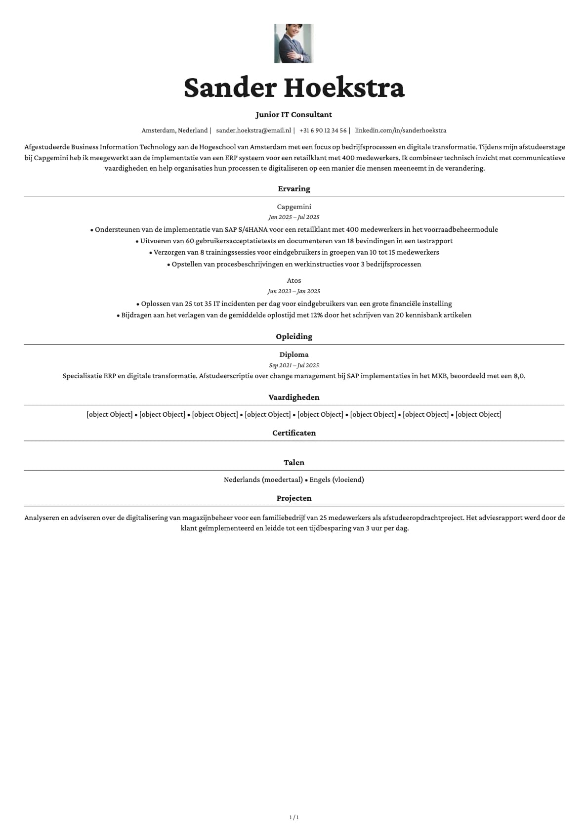 Junior IT Consultant resume example