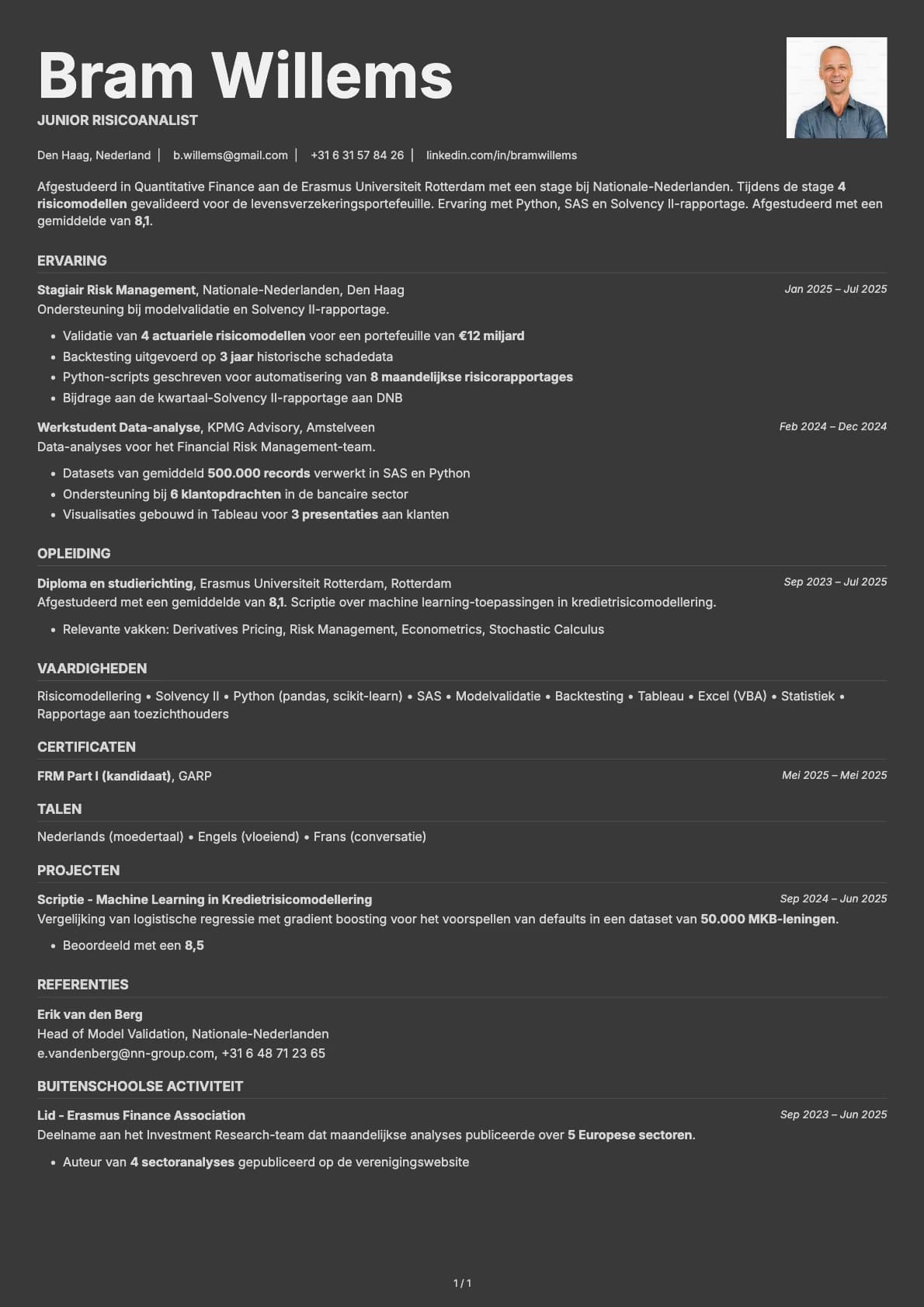 Junior Risicoanalist resume example