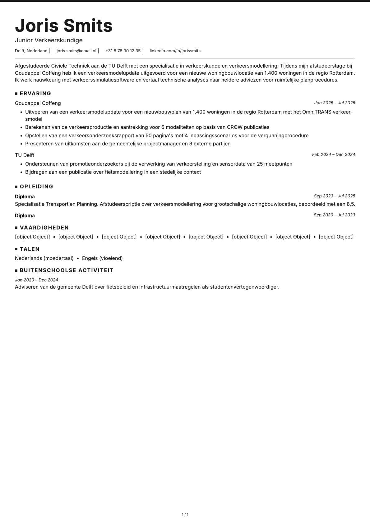 Junior Verkeerskundige resume example