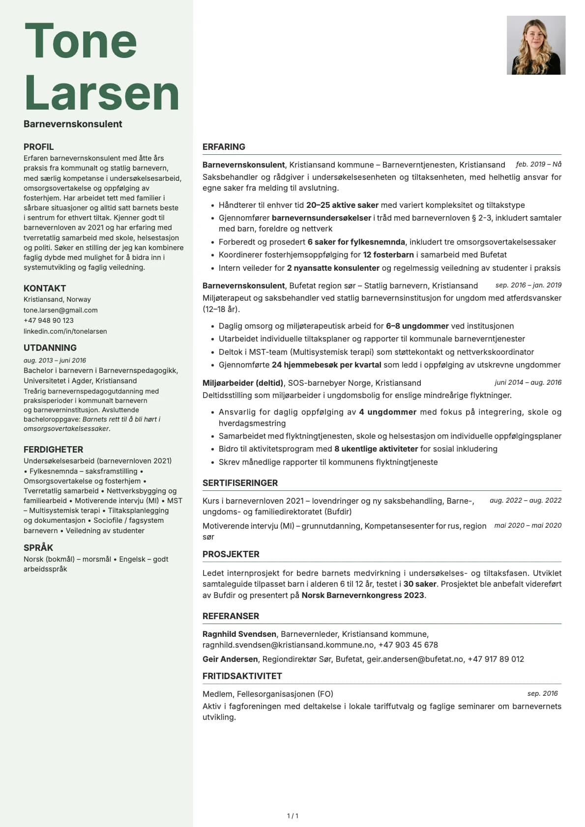 Barnevernskonsulent resume example