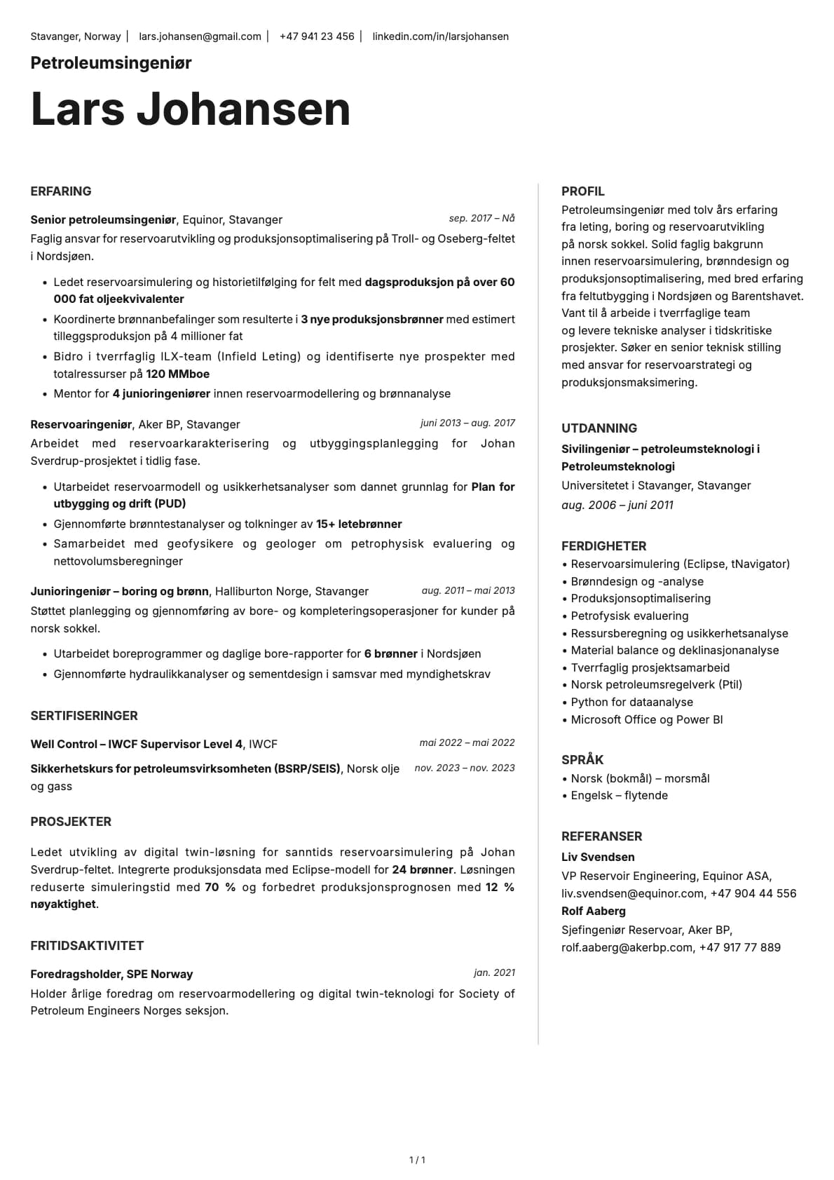 Petroleumsingeniør resume example