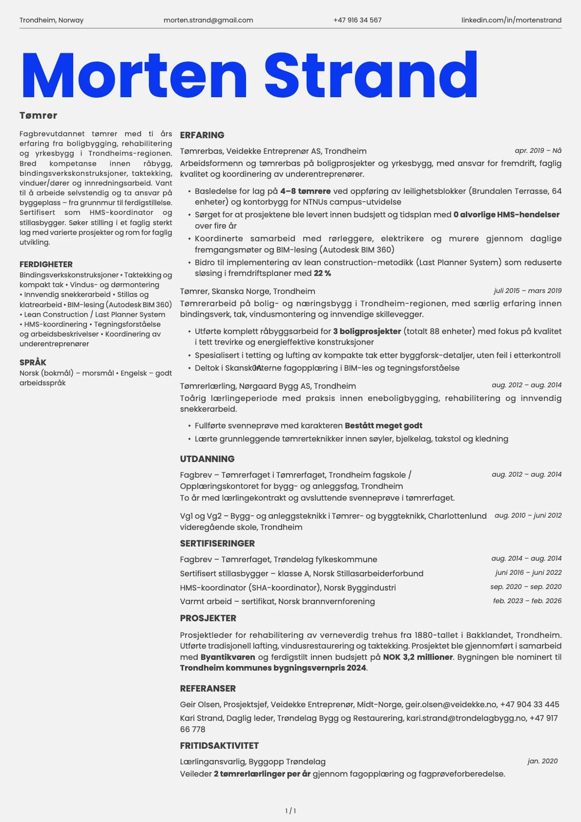 Tømrer resume example