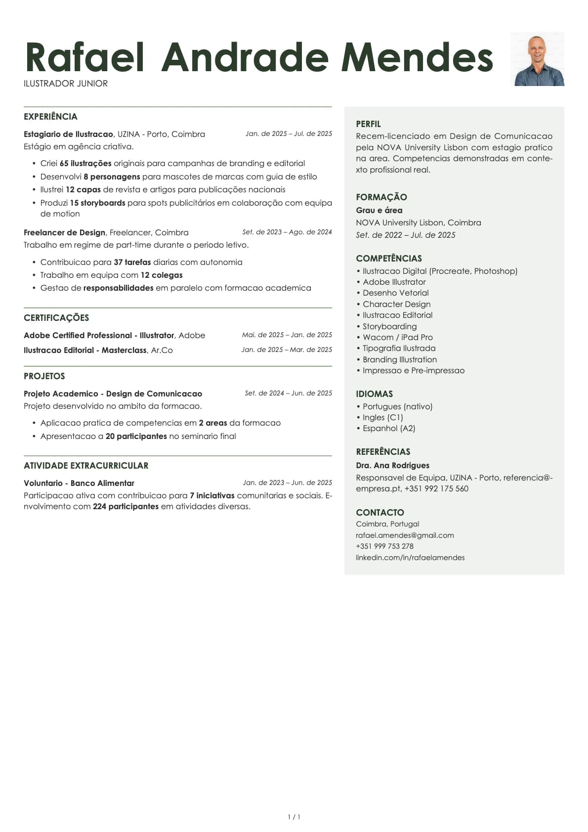 Ilustrador Junior resume example