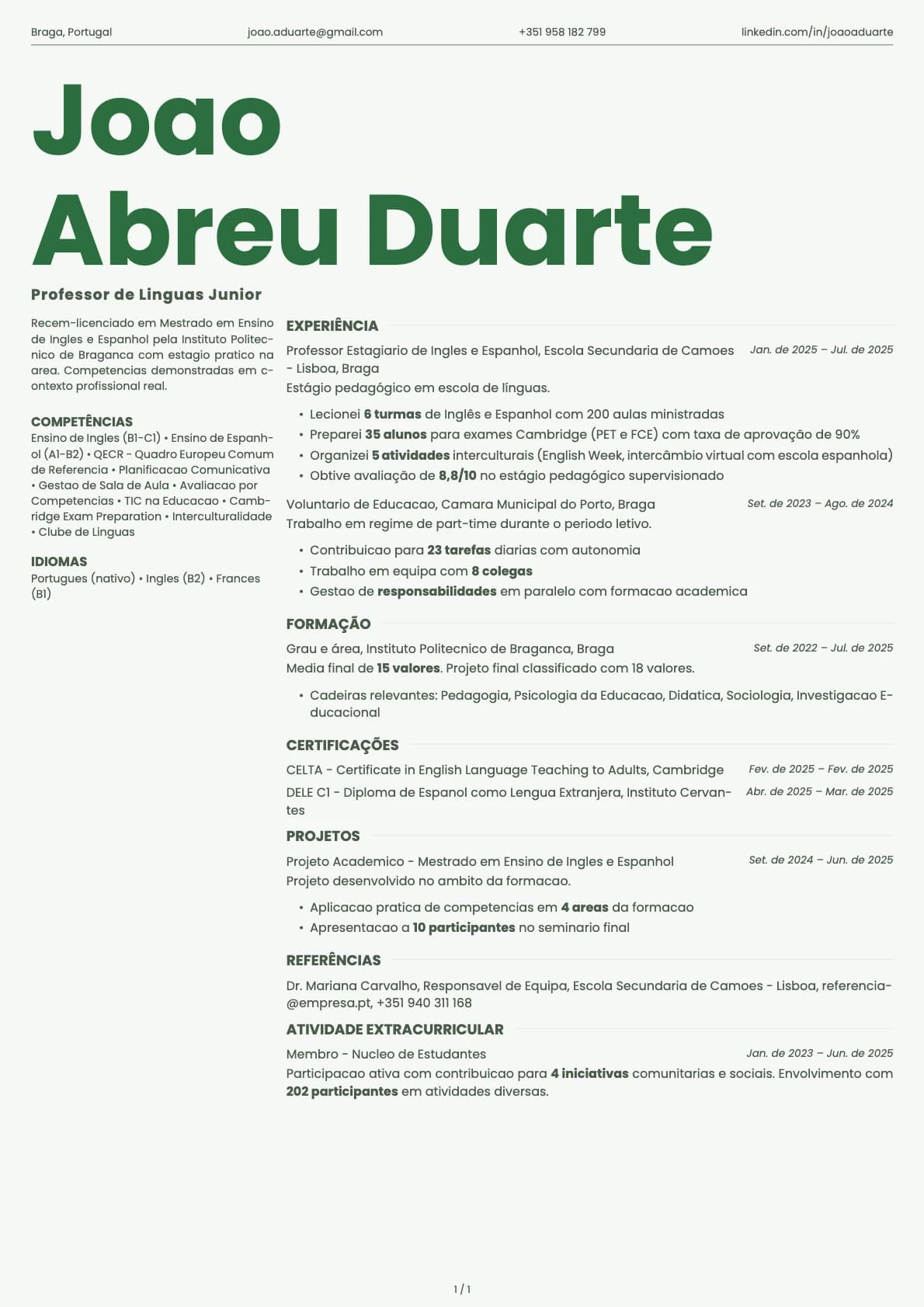 Professor de Linguas Junior resume example