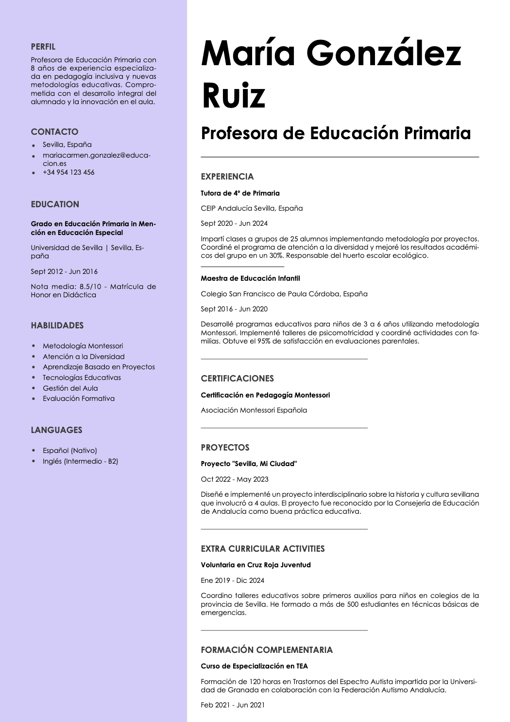 Aurum template preview