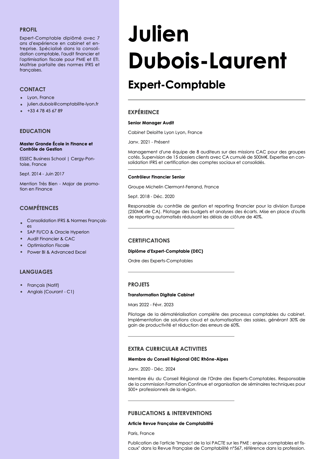 Aurum template preview