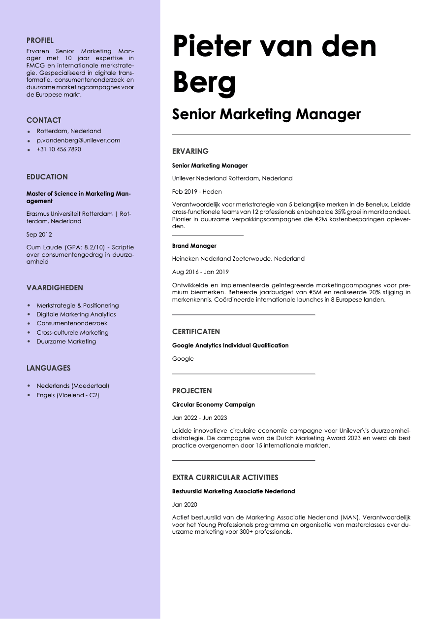 Aurum template preview