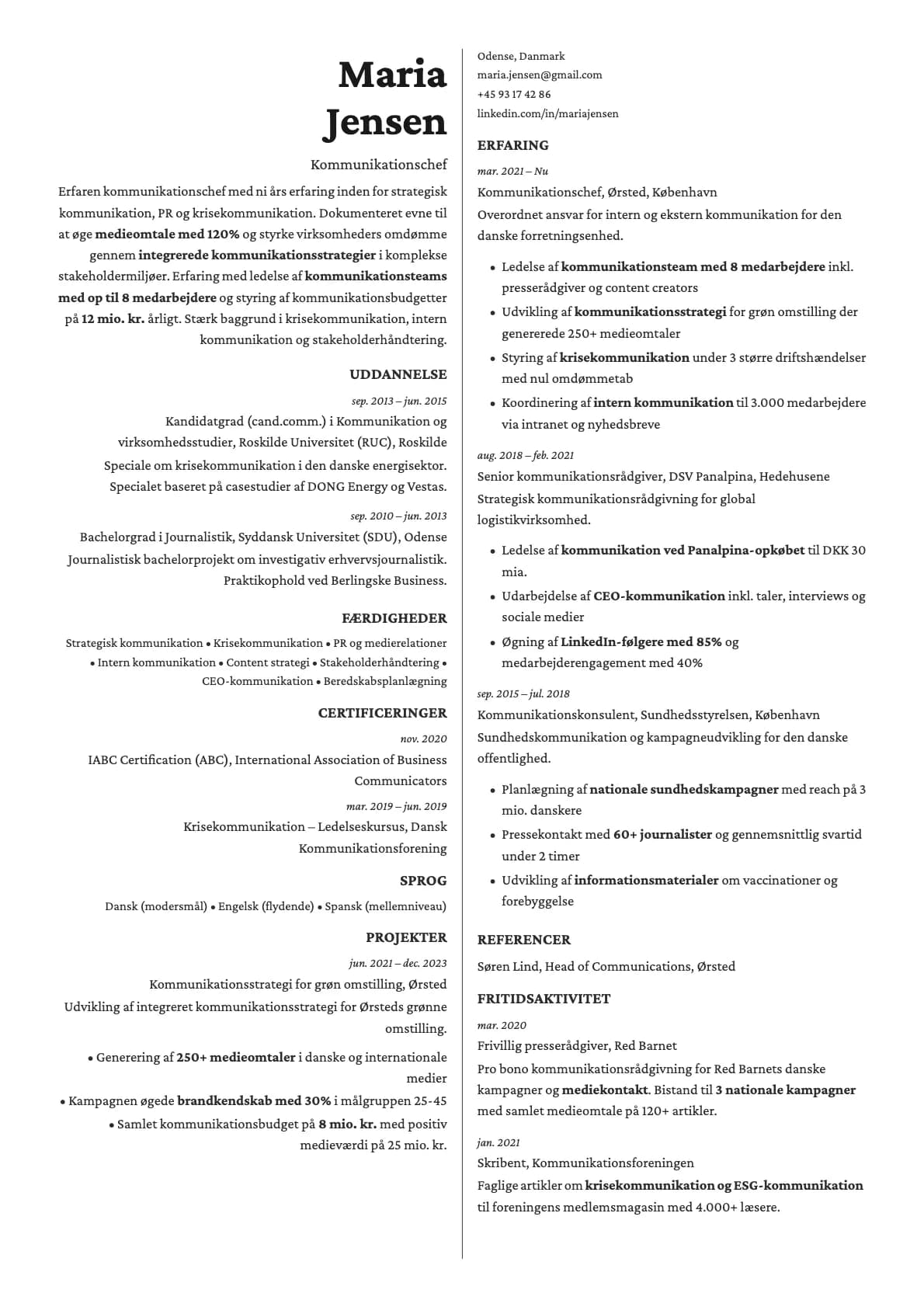 Amber resume template preview