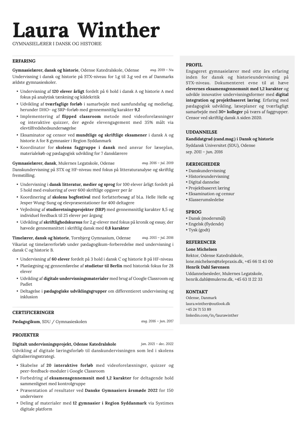 Bronze resume template preview