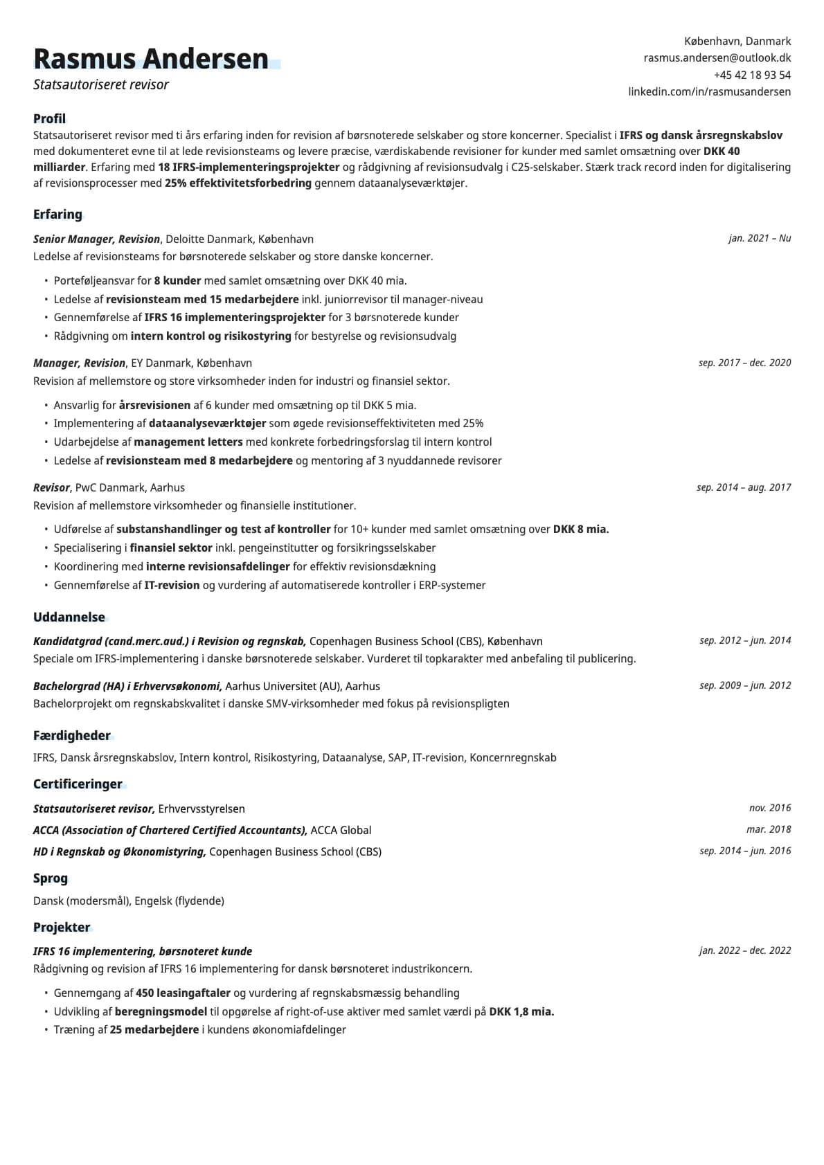 Copper resume template preview