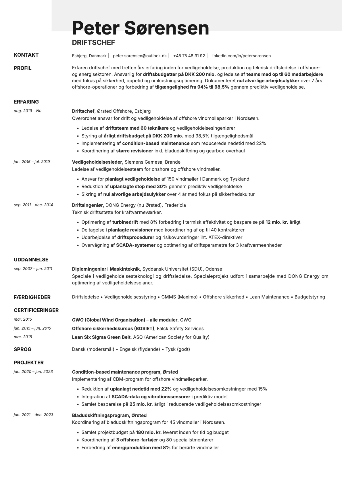 Ivory resume template preview