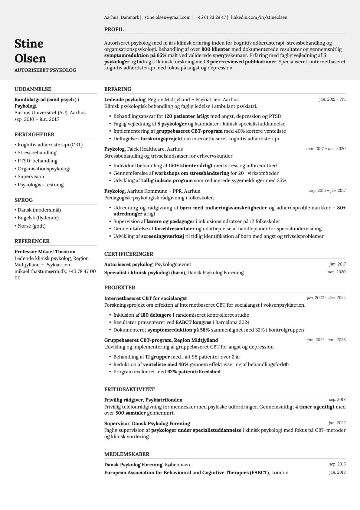 Limestone resume template preview