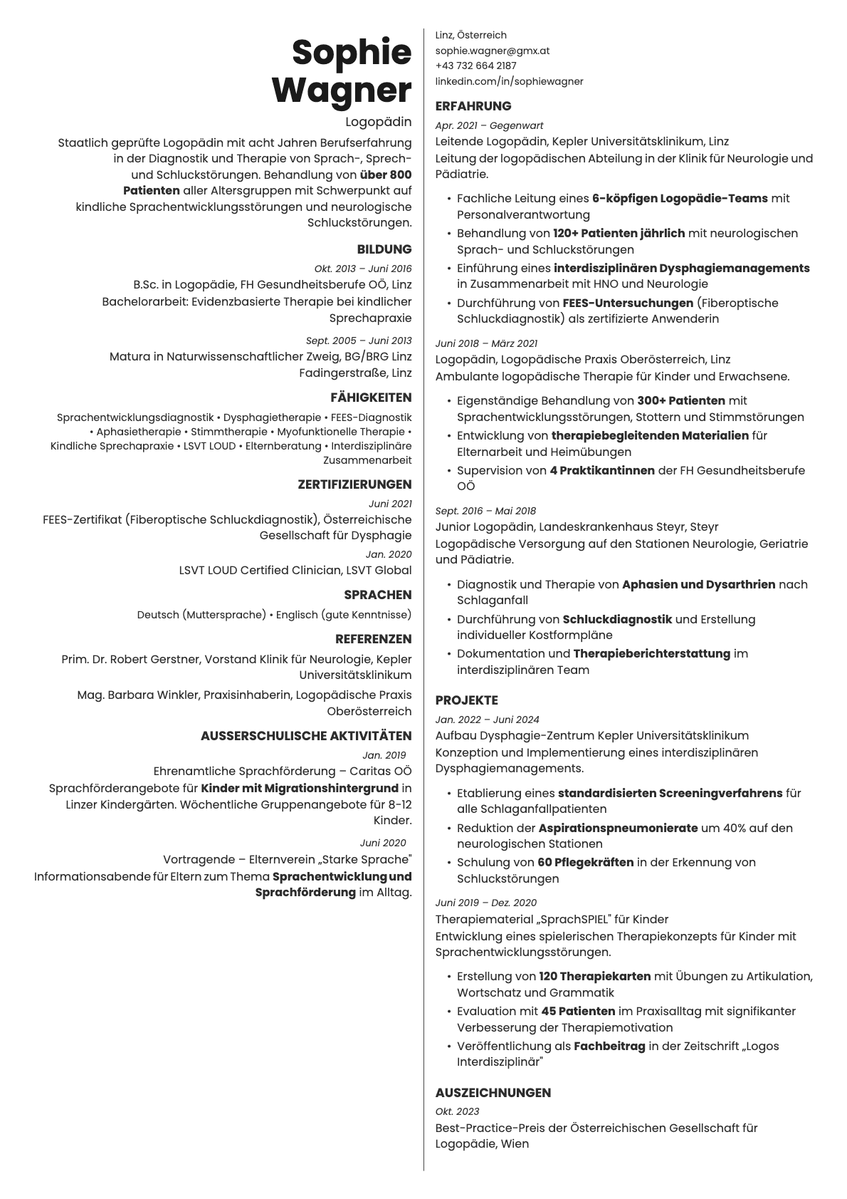 Amber resume template preview