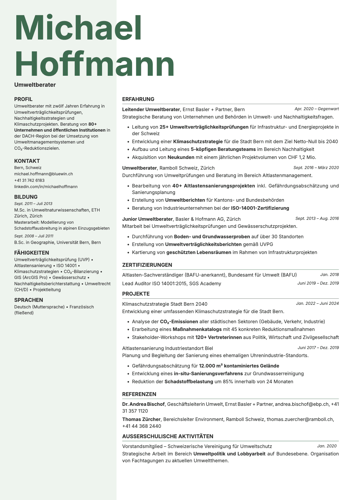 Sage resume template preview