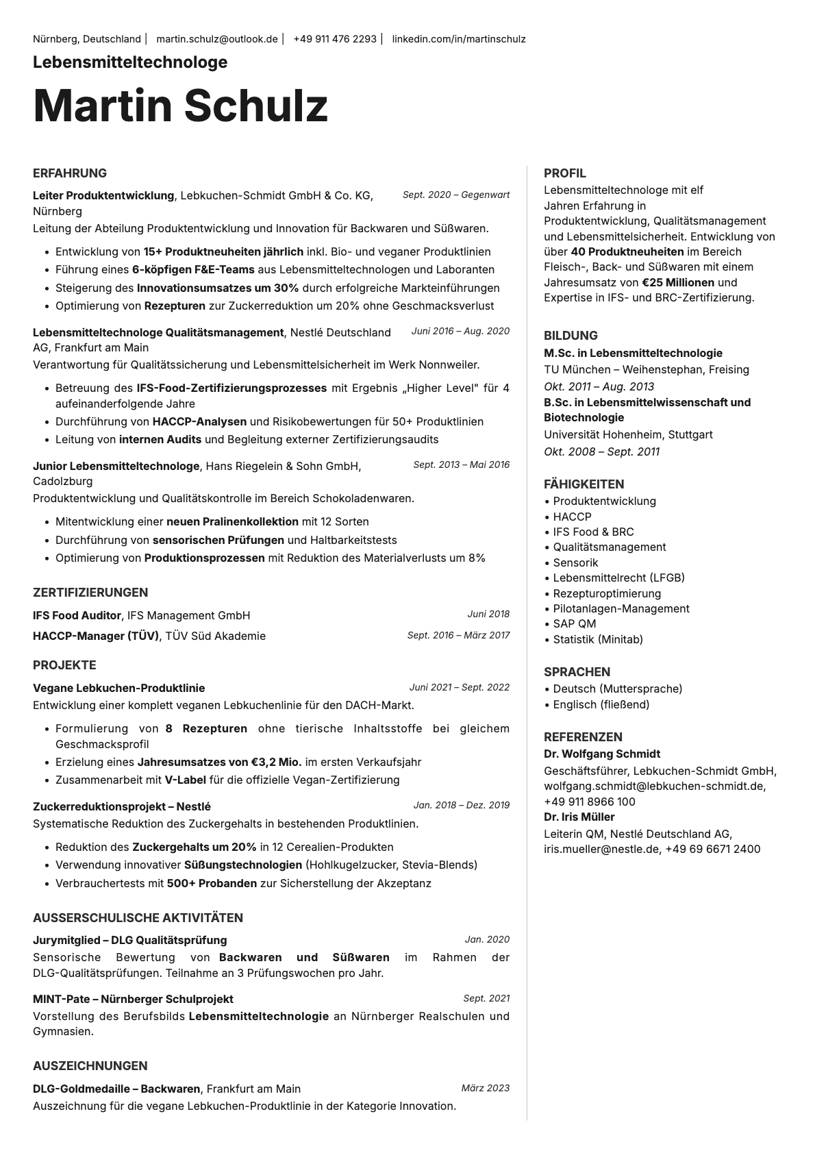 Sapphire resume template preview