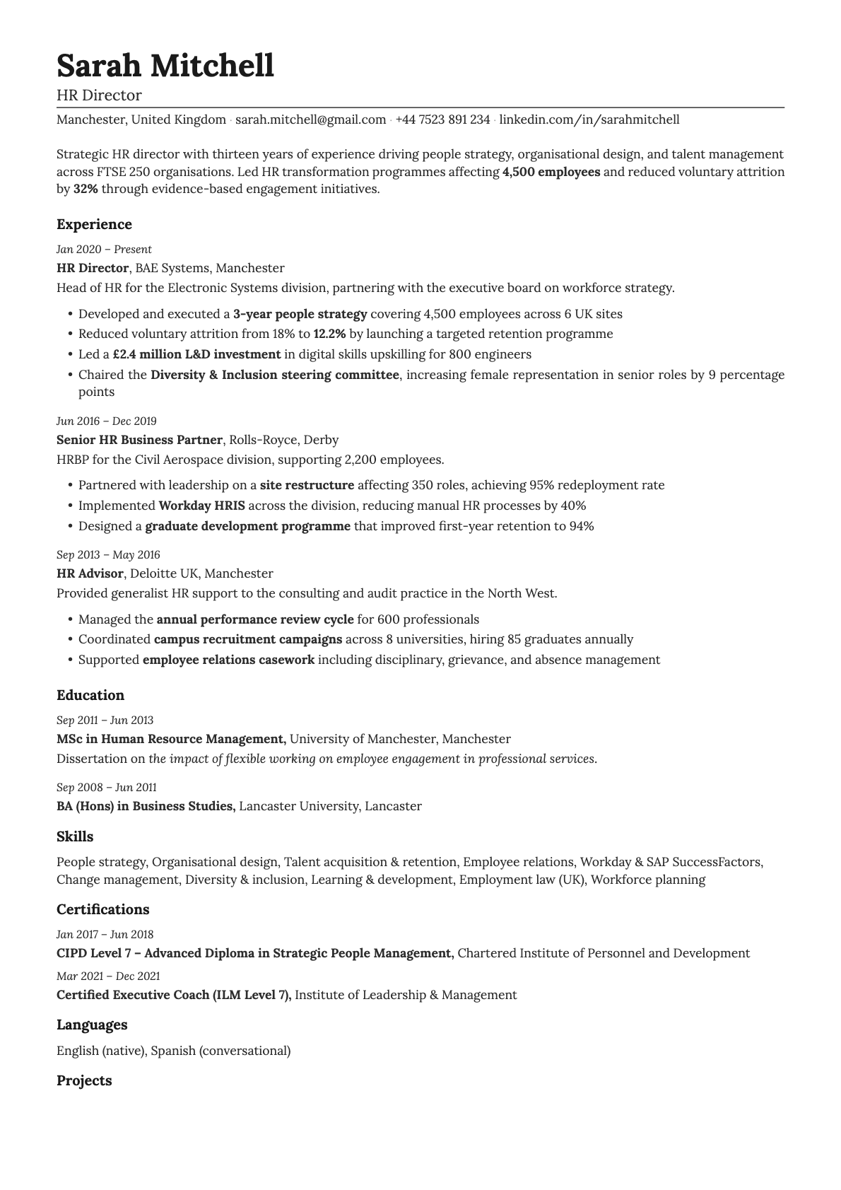 Nickel resume template preview