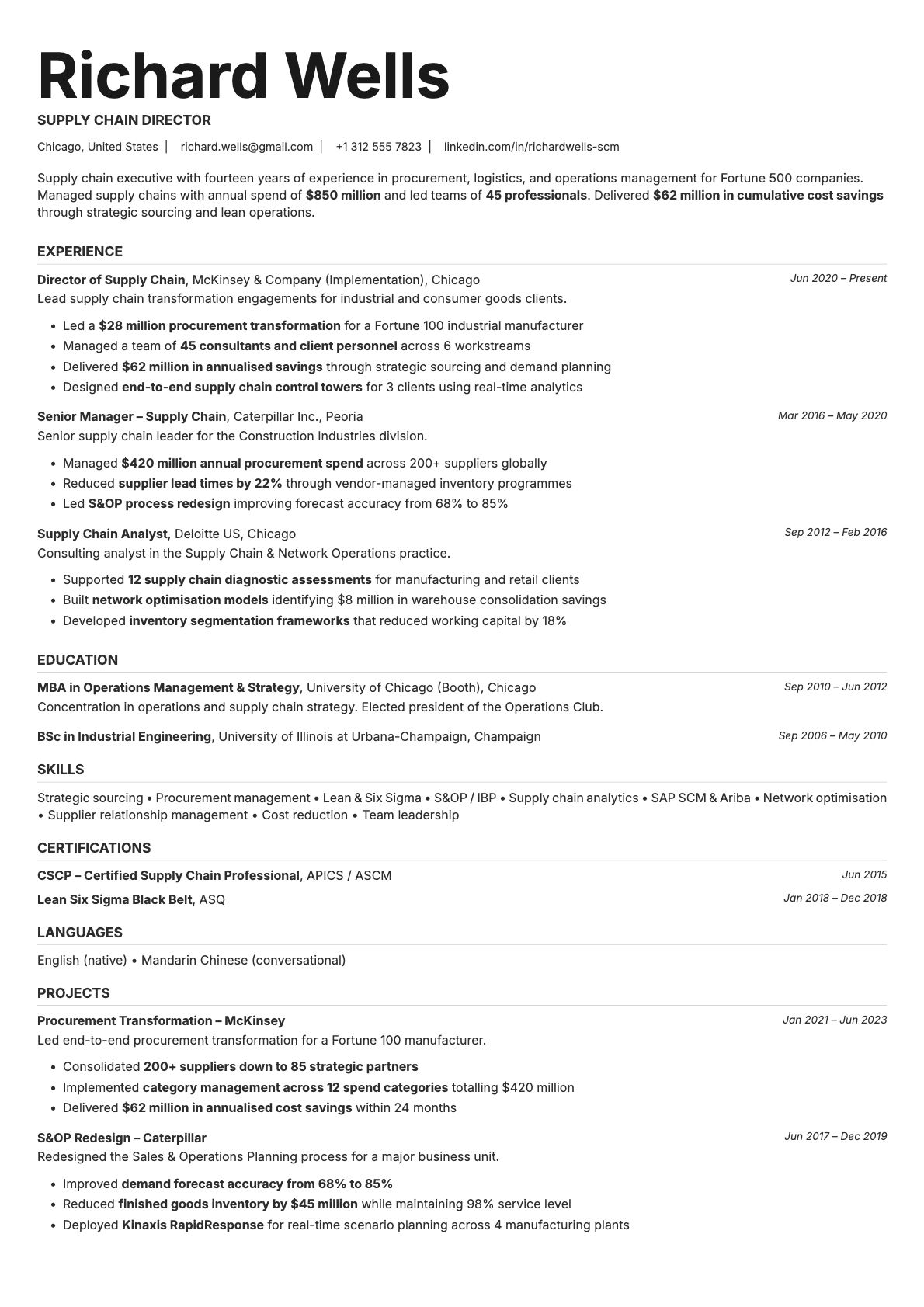 Platinum resume template preview