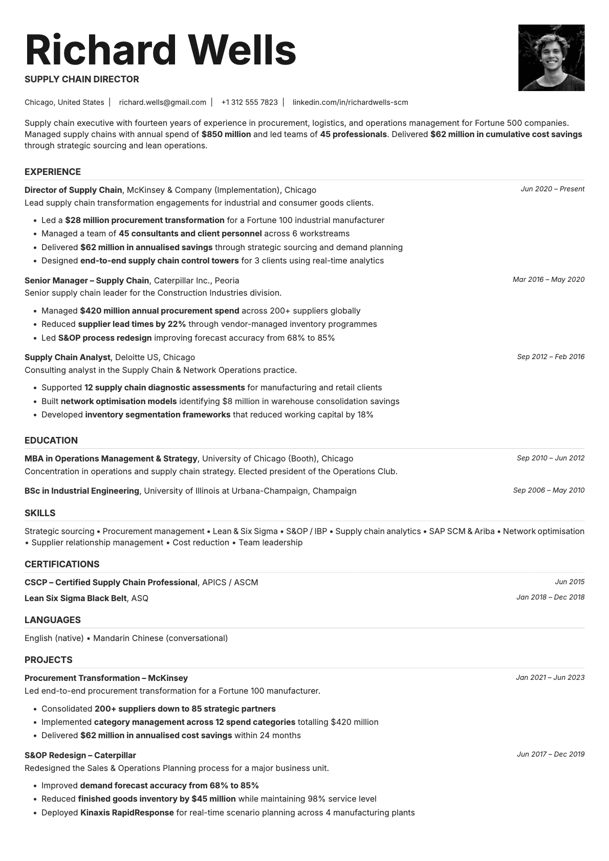 Platinum Photo resume template preview