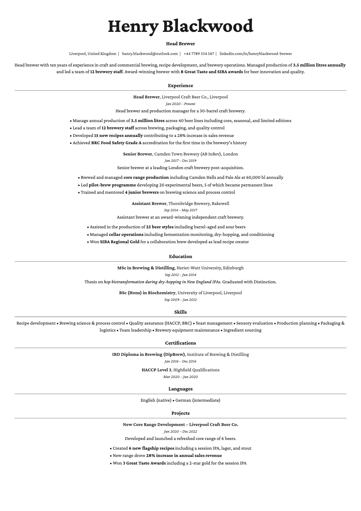 Topaz resume template preview
