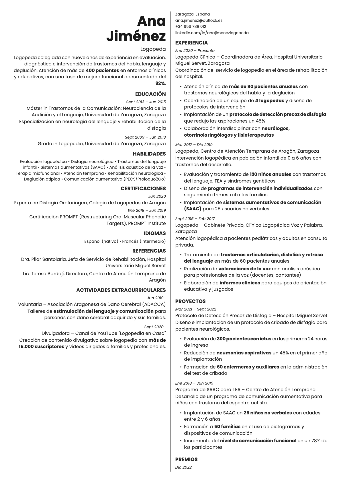 Amber resume template preview