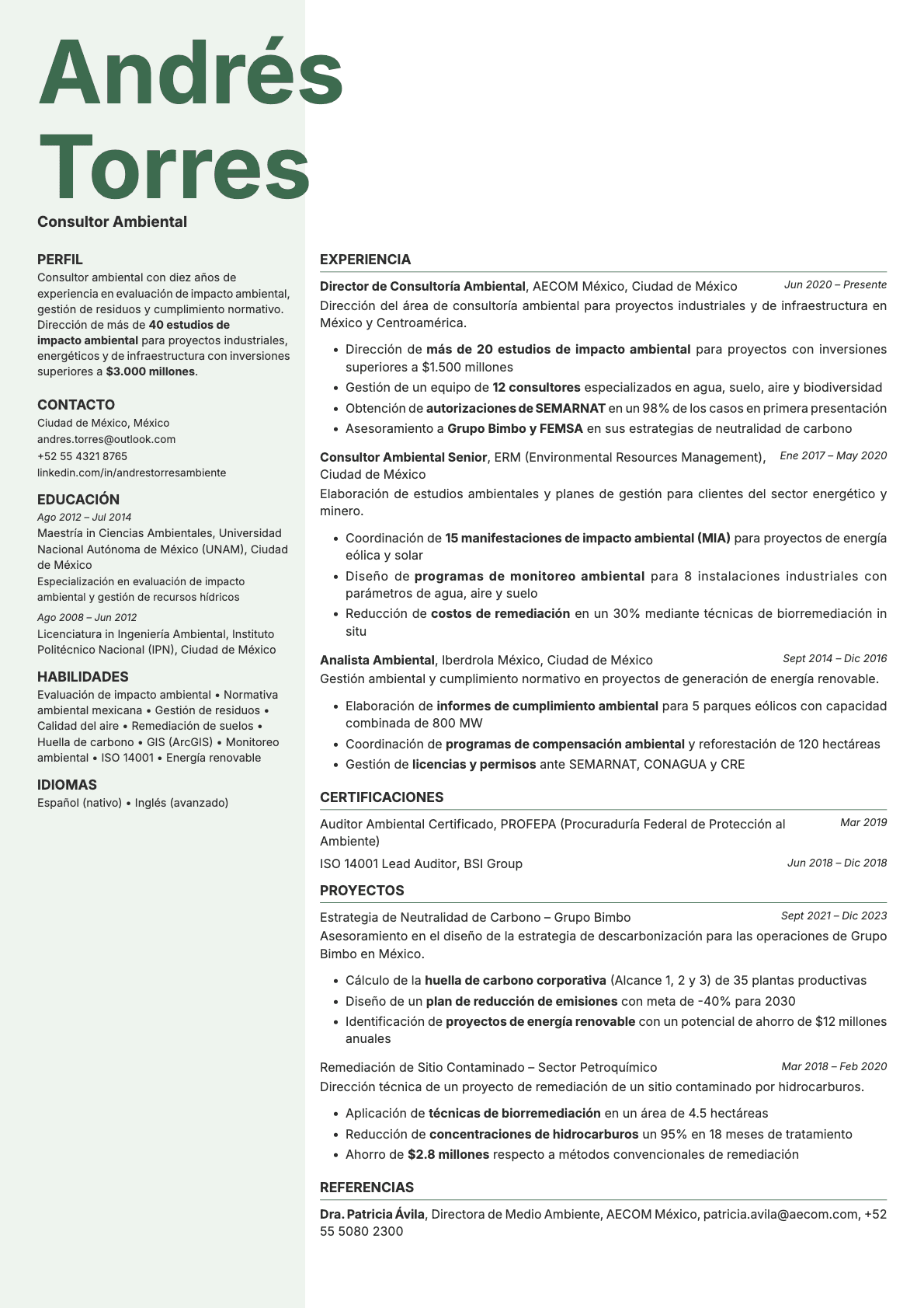 Sage resume template preview