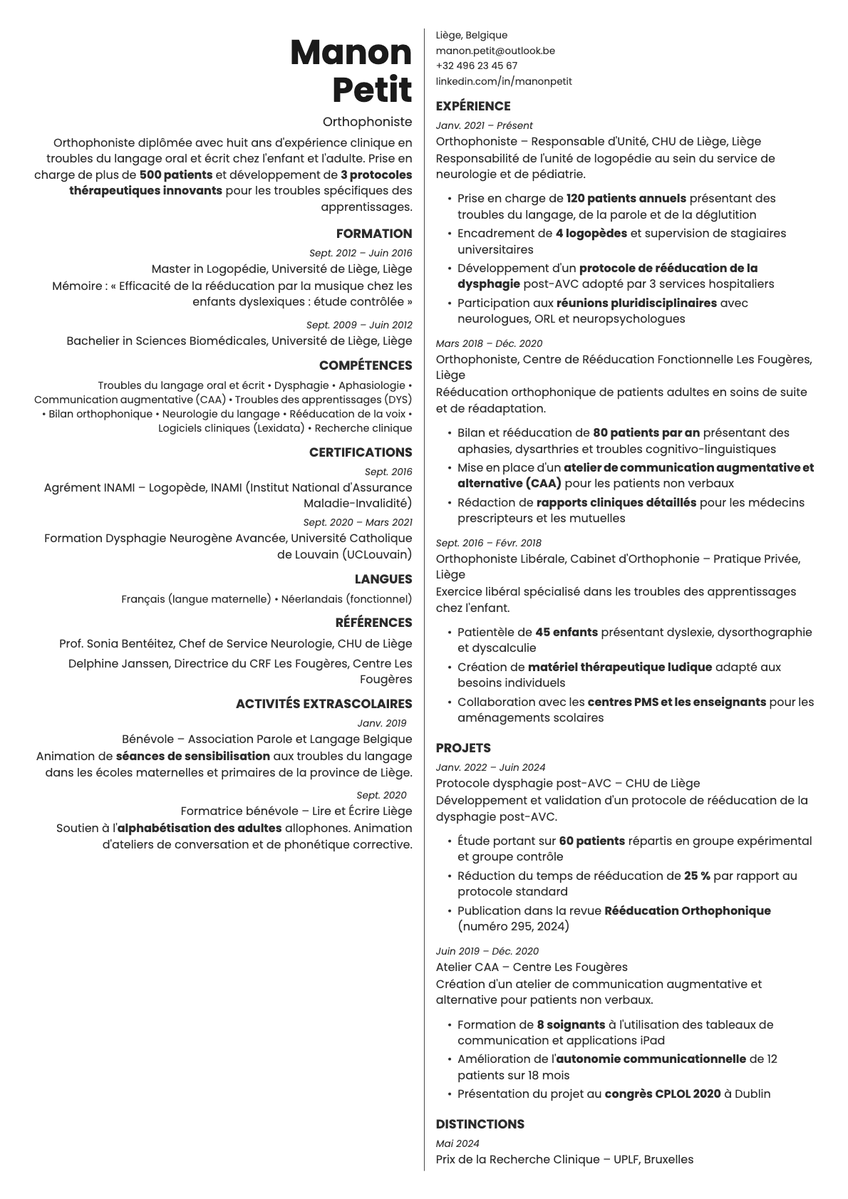 Amber resume template preview