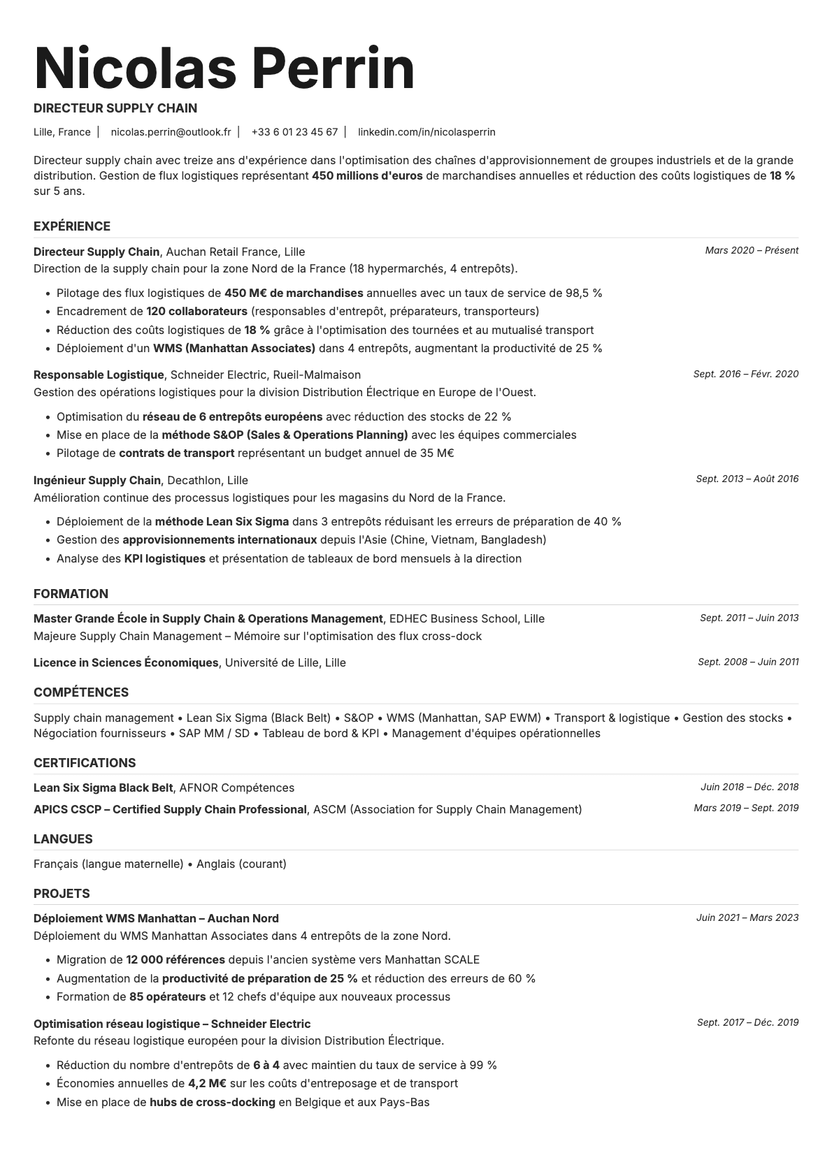 Platinum resume template preview