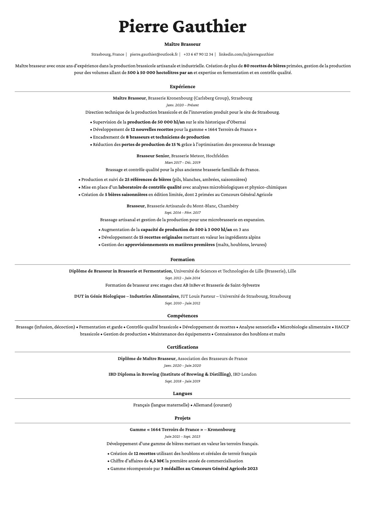 Topaz resume template preview
