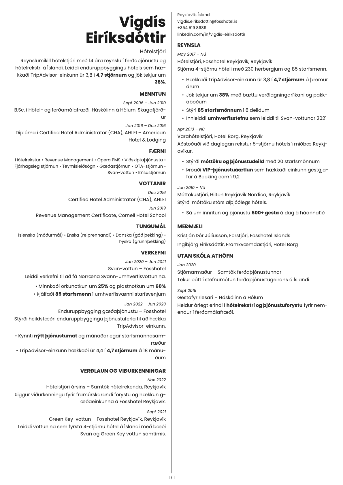 Amber resume template preview