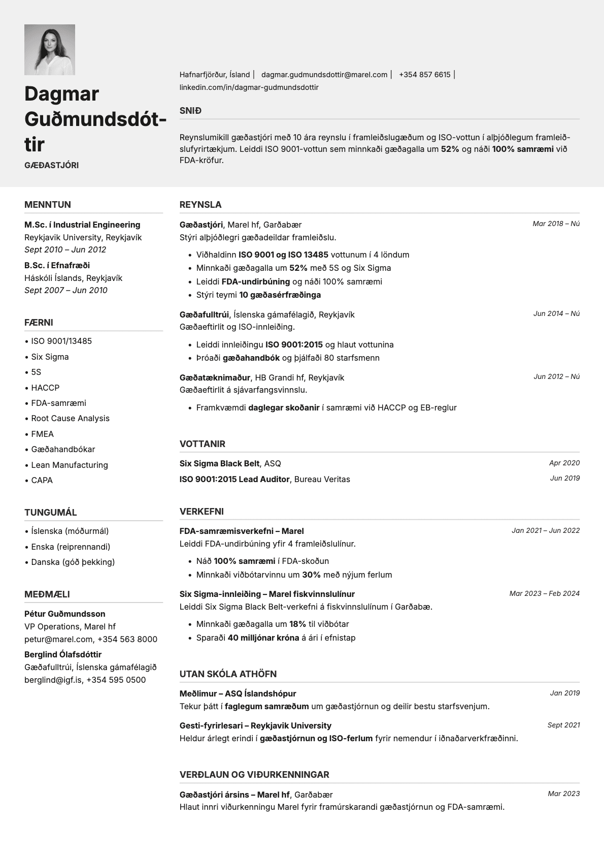Limestone Photo resume template preview